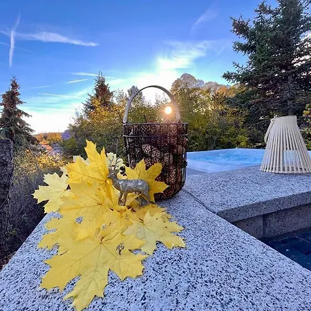 Harzblick Apartment *