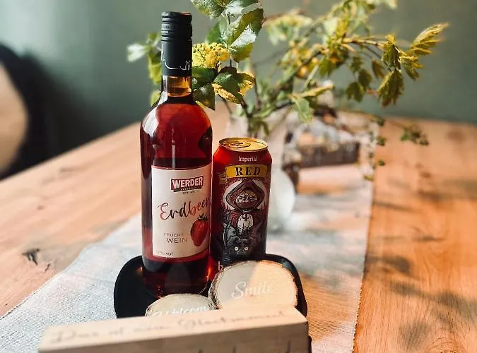 Harzblick Apartment *